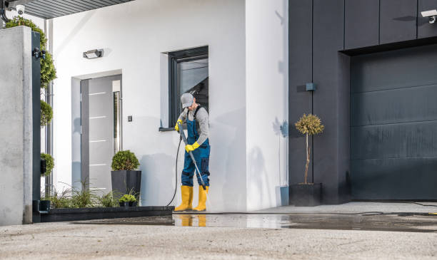 Best Roof Washing  in Scottsboro, AL
